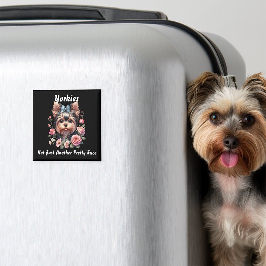 Yorkies, niet gewoon een ander  gezicht magneet