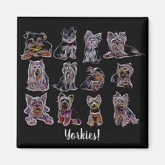 Yorkies, van alle types Sierkussen Magneet (Voorkant)
