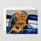Yorkies~ We gaan naar een nieuw pad! Briefkaarten (Voorkant / Achterkant)