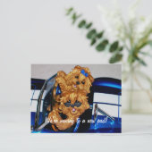 Yorkies~ We gaan naar een nieuw pad! Briefkaarten (Staand voorkant)