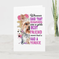 Yorkies zijn een meisje haar beste vriendin Funny