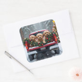 Yorkipoo Christmas Red Truck Holiday Gift Vierkante Sticker (Envelop)
