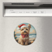 Yorkipoo Dog Christmas  Beach Magneet (Insitu (Vaatwasser))