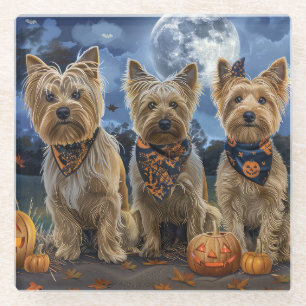 Yorkipoo Halloween Griezelig Glazen Onderzetter