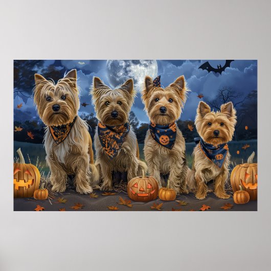 Yorkipoo Halloween Spoken  Poster (Voorkant)