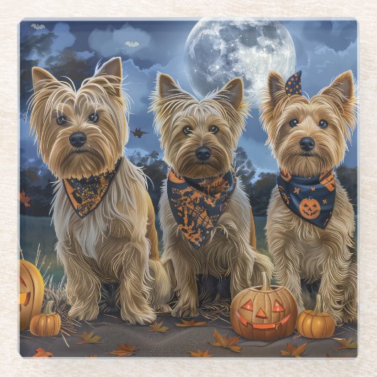 Yorkipoo Halloween Spooky Glazen Onderzetter (Voorkant)