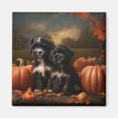 Yorkipoo Puppy Herfst Delight Pompoen Magneet (Voorkant)