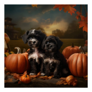 Yorkipoo Puppy Herfst Delight Pompoen Perfect Poster