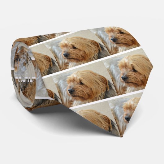 Yorkkshire Terrier Jake Stropdas (Opgerold)