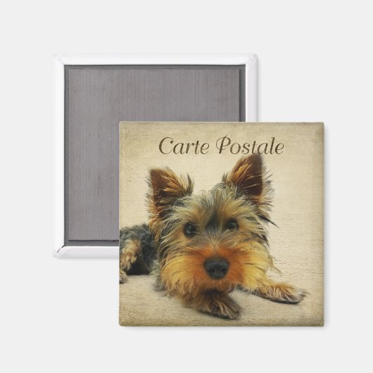 Yorkshire  Briefkaart Magneet (Voorkant / Achterkant)