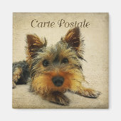 Yorkshire  Briefkaart Magneet (Voorkant)