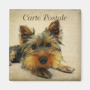 Yorkshire  Briefkaart Magneet