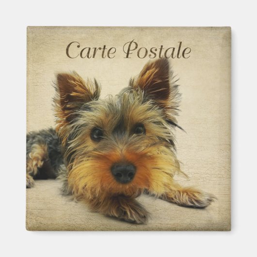 Yorkshire  Briefkaart Magneet (Voorkant)