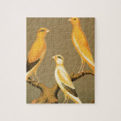 YORKSHIRE CANARIES LEGPUZZEL (Verticaal)