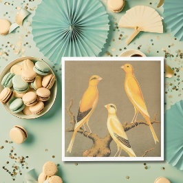 YORKSHIRE CANARIES SERVET