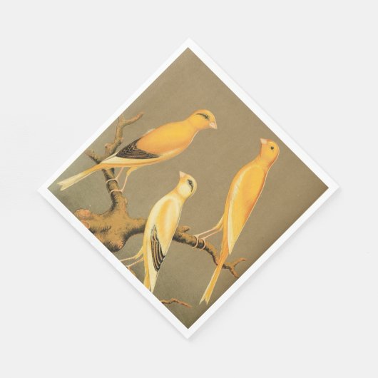 YORKSHIRE CANARIES SERVET (Hoek)