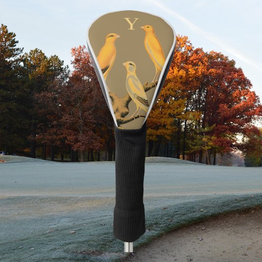  Yorkshire  canary birds - Golfheadcover