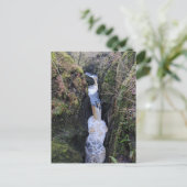 Yorkshire Dales, Baxengyhll Gorge Waterfall Briefkaart (Staand voorkant)