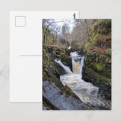 Yorkshire Dales, Ingleton - Pecca Herfsten Briefkaart (Voorkant / Achterkant)