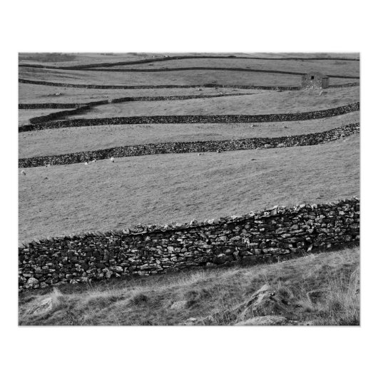 Yorkshire Dales Poster (Voorkant)