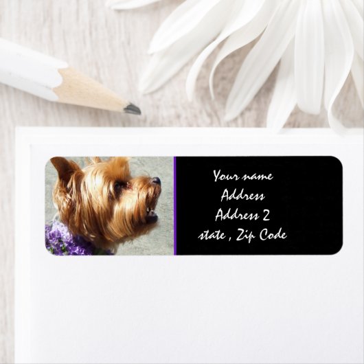 Yorkshire dooder etiket (Insitu)