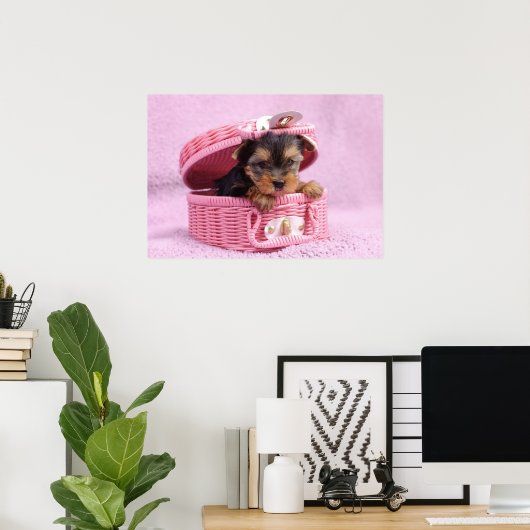 Yorkshire dooder poster (Thuiskantoor)