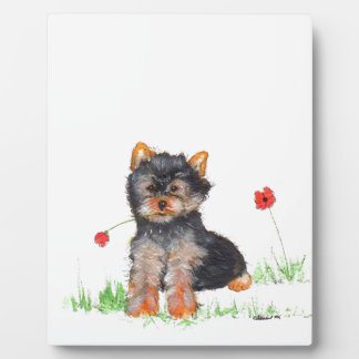 Yorkshire doodpup fotoplaat