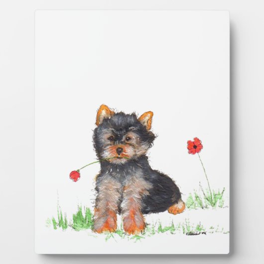 Yorkshire doodpup fotoplaat (Voorkant)