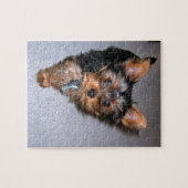 yorkshire doodpuppy legpuzzel (Horizontaal)