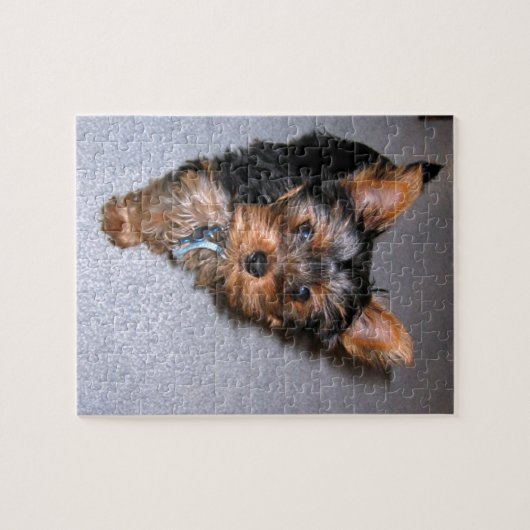 yorkshire doodpuppy legpuzzel (Horizontaal)