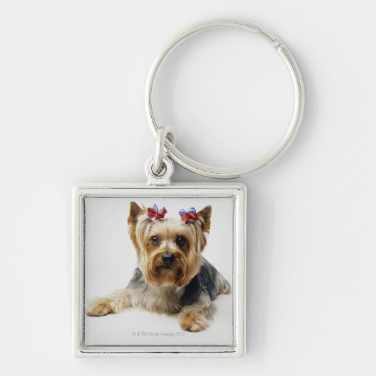 Yorkshire doodsbang met rode bogen sleutelhanger (Voorkant)