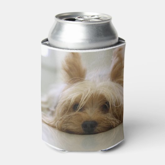 Yorkshire-doodsflat.png Blikjeskoeler (Blikje Voorkant)