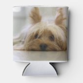 Yorkshire-doodsflat.png Blikjeskoeler (Voorkant)