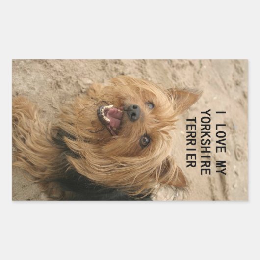 yorkshire doodsliefde met pic black en tan rechthoekige sticker (Voorkant)