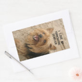 yorkshire doodsliefde met pic black en tan rechthoekige sticker (Envelop)