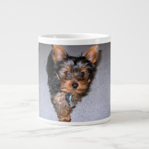 yorkshire doodspuppy.png grote koffiekop