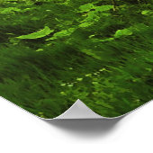 Yorkshire, Fountains Abbey, Poster (Hoek)