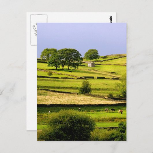 Yorkshire landscape briefkaart (Voorkant / Achterkant)