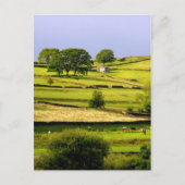 Yorkshire landscape briefkaart (Voorkant)