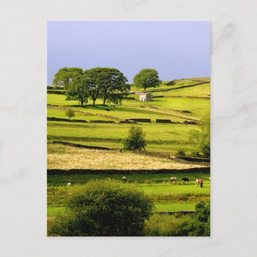 Yorkshire landscape briefkaart (Voorkant)