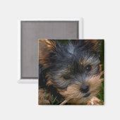 Yorkshire Magneet (Voorkant / Achterkant)