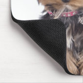 yorkshire muismat (Hoek)