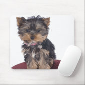 yorkshire muismat (Met muis)