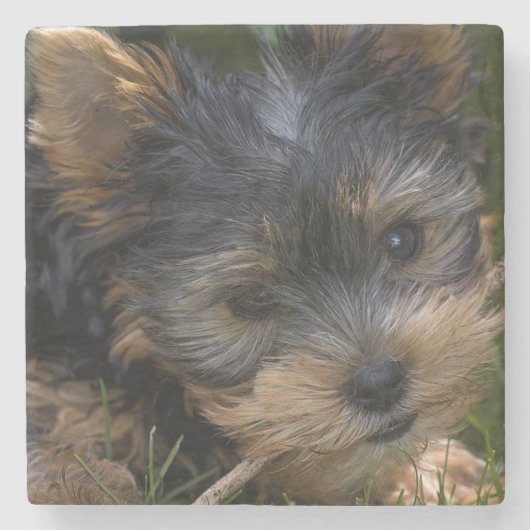 Yorkshire Stenen Onderzetter (Voorkant)