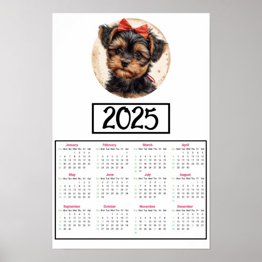 Yorkshire Terriër 2025 Kalender Poster (Voorkant)