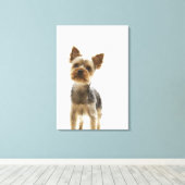 Yorkshire Terrier 2 Canvas Afdruk (Insitu (Houten vloer))