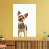 Yorkshire Terrier 2 Canvas Afdruk (Insitu (Woonkamer))