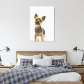 Yorkshire Terrier 2 Canvas Afdruk (Insitu (Slaapkamer))