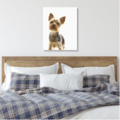 Yorkshire Terrier 2 Canvas Afdruk (Insitu (Slaapkamer))