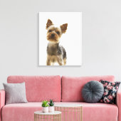 Yorkshire Terrier 2 Canvas Afdruk (Insitu (Woonkamer))